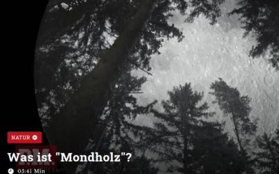Was ist Mondholz?
