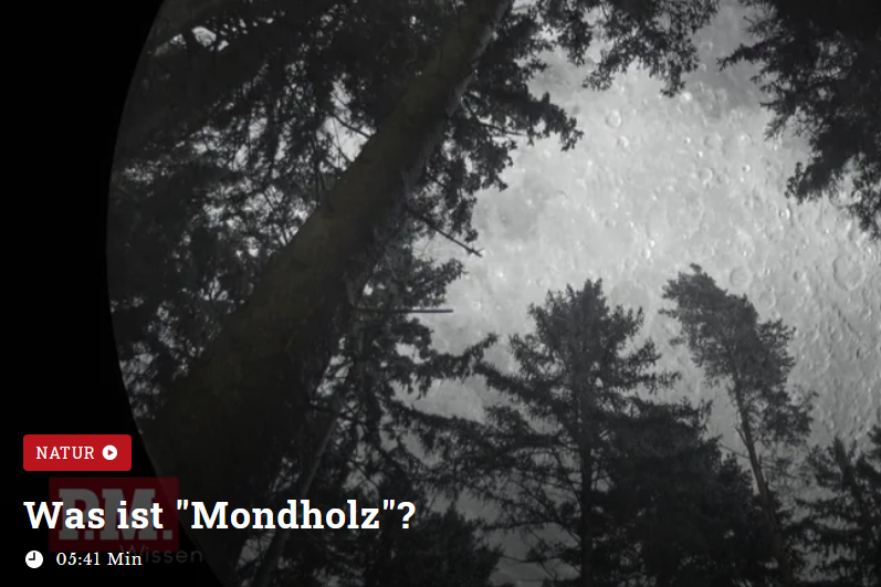 Was ist Mondholz?